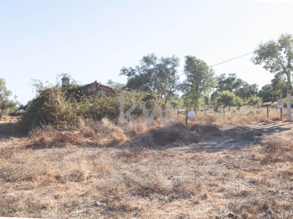 Farm i Cercal do Alentejo, Setubal - foto 5