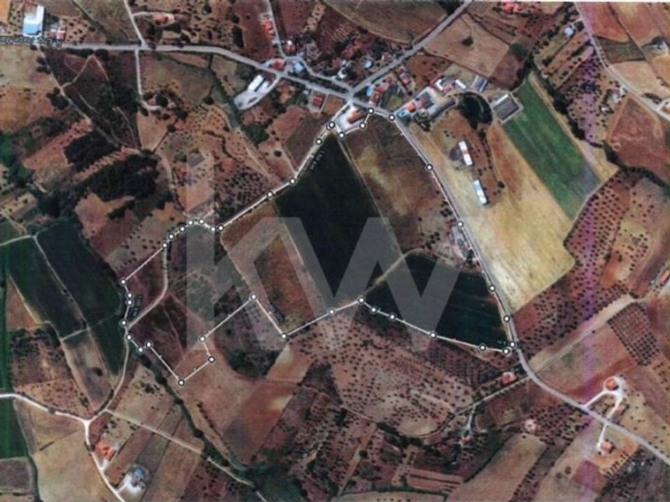 Farm i Torres Novas, Santarem - foto 2
