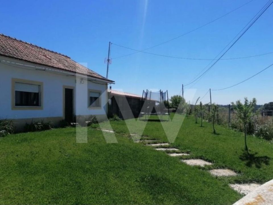 Farm i Torres Novas, Santarem - foto 5