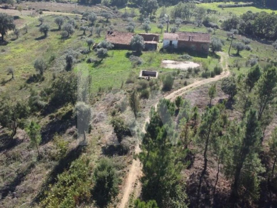 Farm i Ladoeiro, Castelo Branco - foto 4