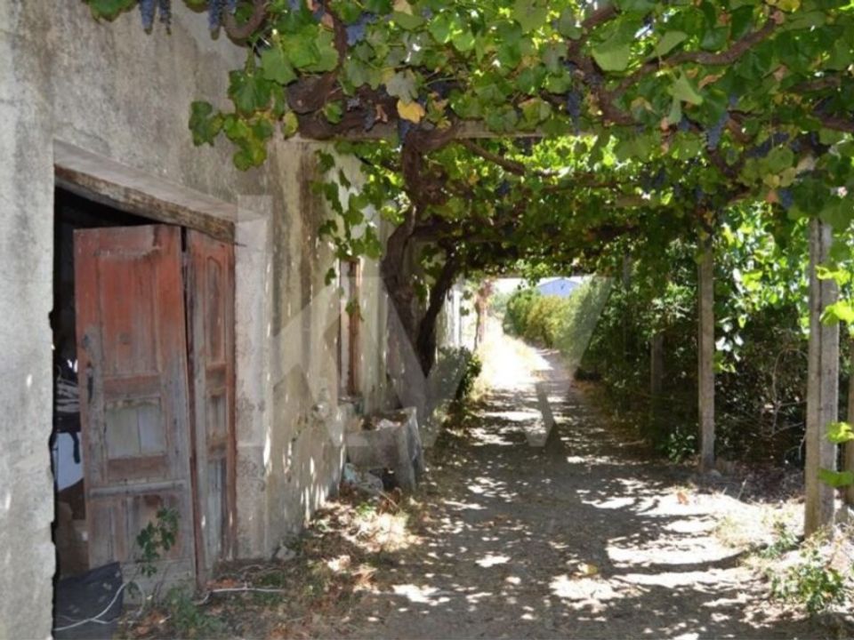 Gård i Boidobra, Castelo Branco - bilde 4