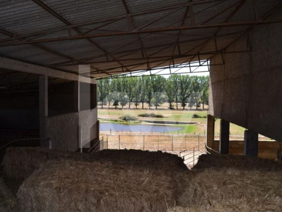 Gård i Boidobra, Castelo Branco - bilde 5