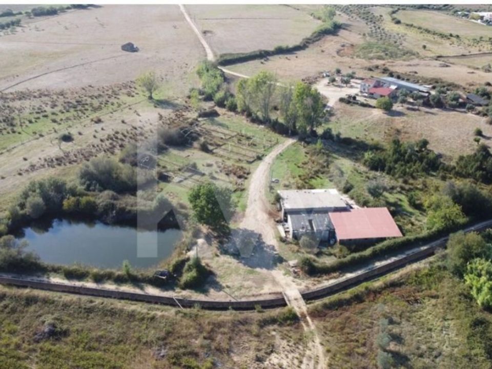 Farm i Ladoeiro, Castelo Branco - foto 1