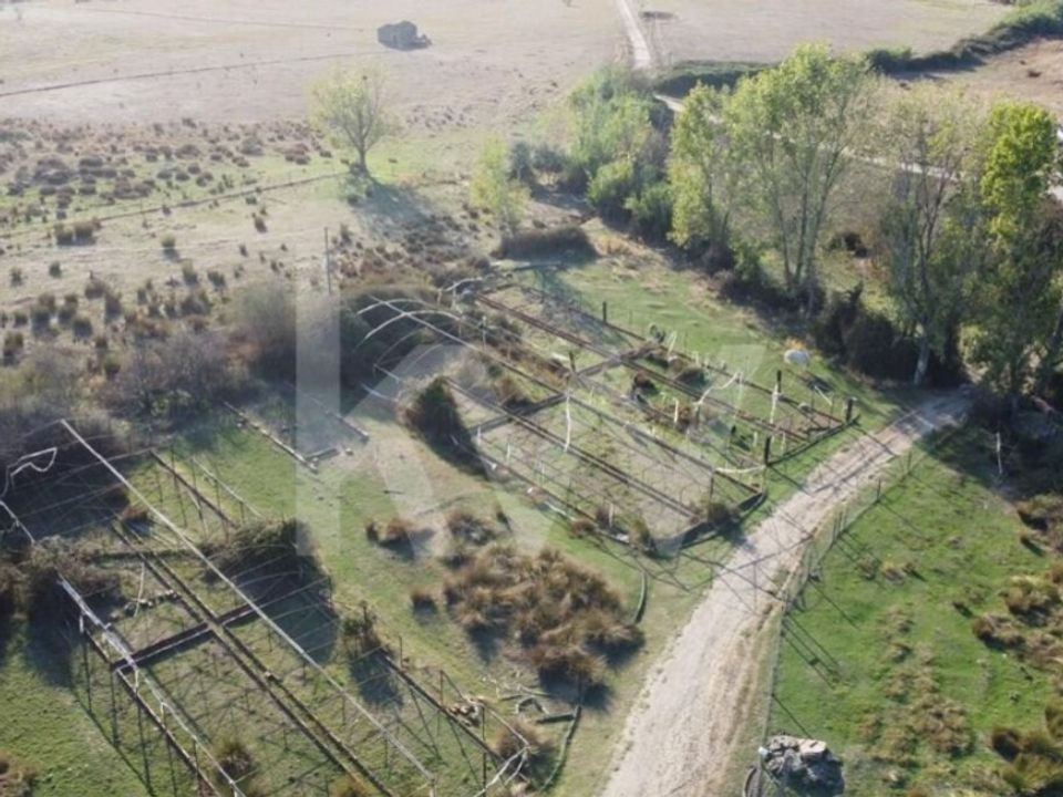 Farm i Ladoeiro, Castelo Branco - foto 2