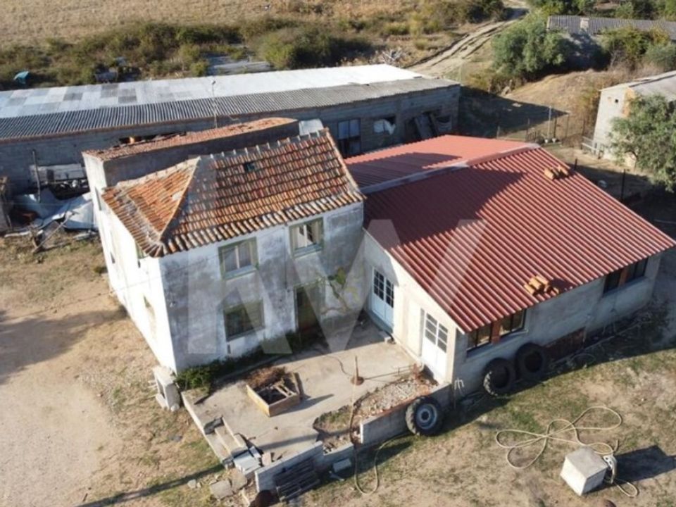 Farm i Ladoeiro, Castelo Branco - foto 4
