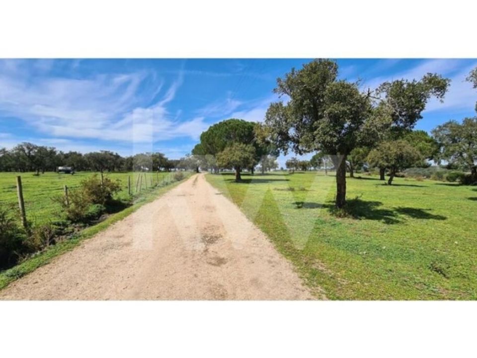 Farm i Benavente, Santarem - foto 2