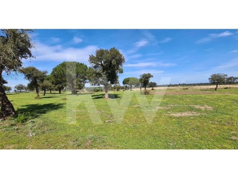 Farm i Benavente, Santarem - foto 3