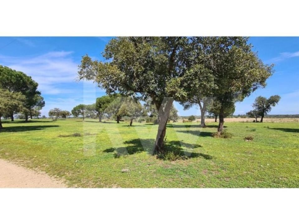 Farm i Benavente, Santarem - foto 4