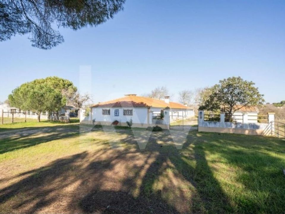 Farm i Benavente, Santarem - foto 5