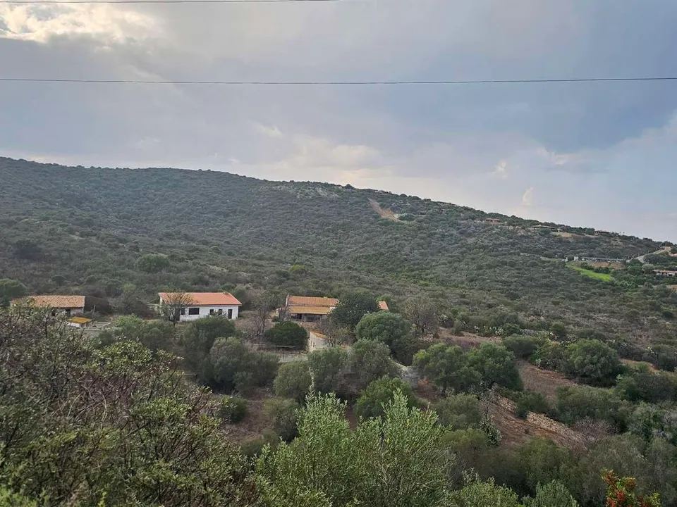 Farm i San Teodoro, Sassari - foto 4
