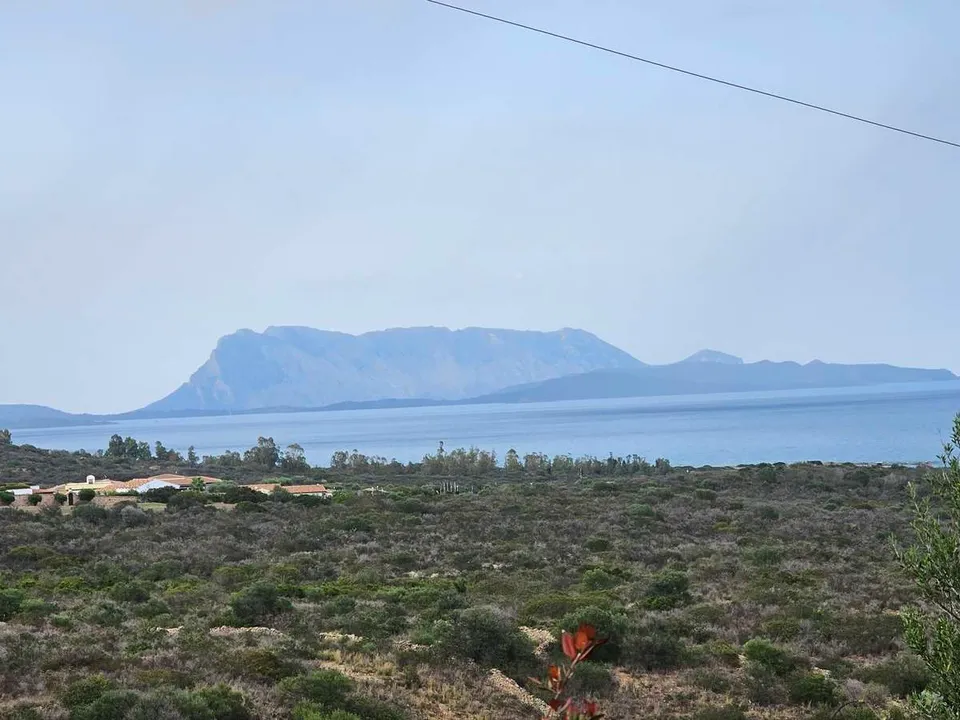 Farm i San Teodoro, Sassari - foto 3