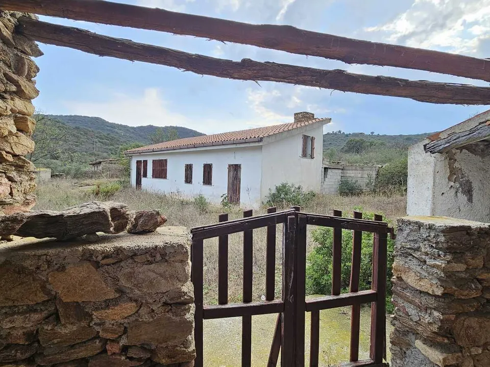 Farm i San Teodoro, Sassari - foto 2