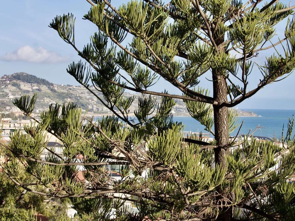 Villa i Sanremo, Imperia - foto 4