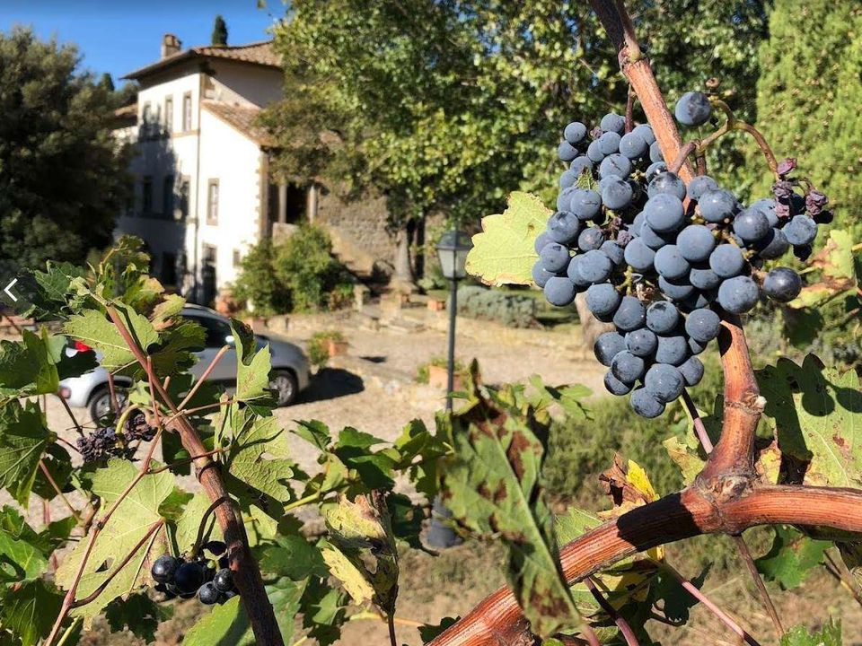 Villa i Cortona, Arezzo - foto 1