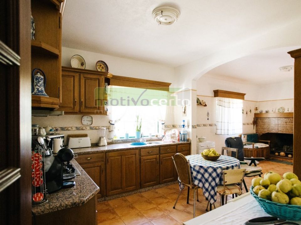 Gård i Coruche, Santarem - bilde 5