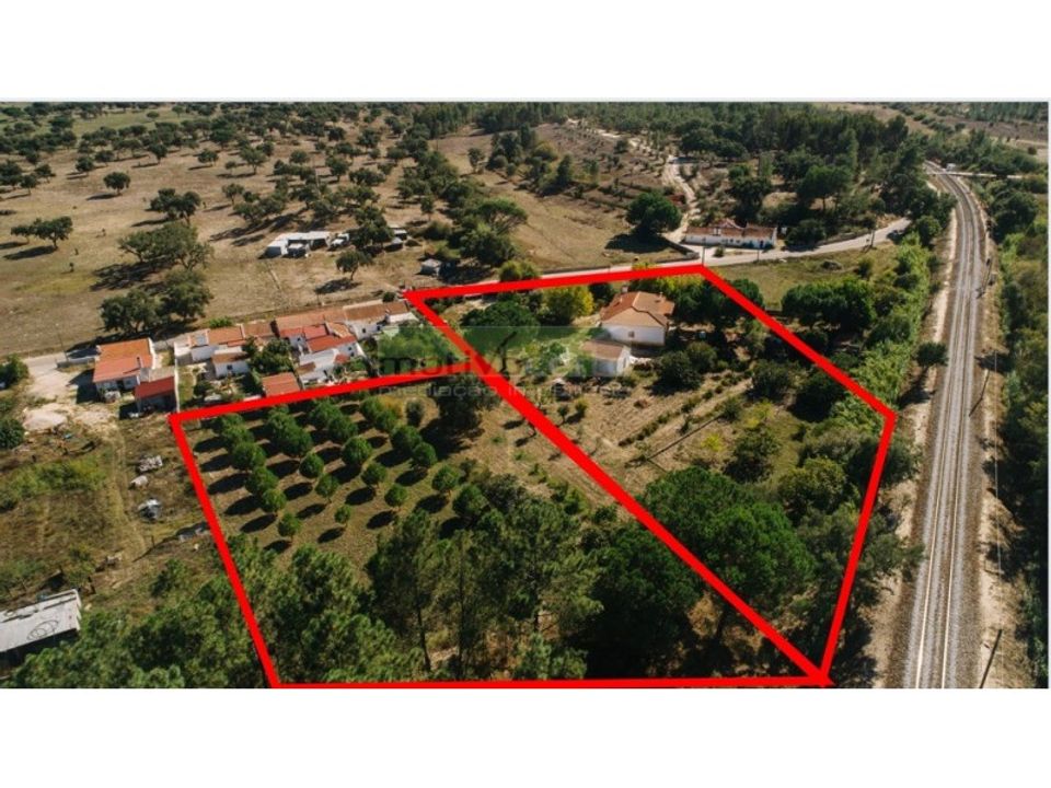 Gård i Coruche, Santarem - bilde 1