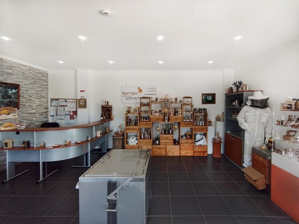Erhvervsejendom i Almodovar, Beja - foto 4