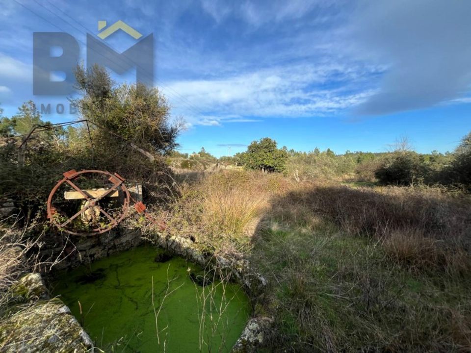 Helårsgrund i Castelo Branco, Castelo Branco - foto 4