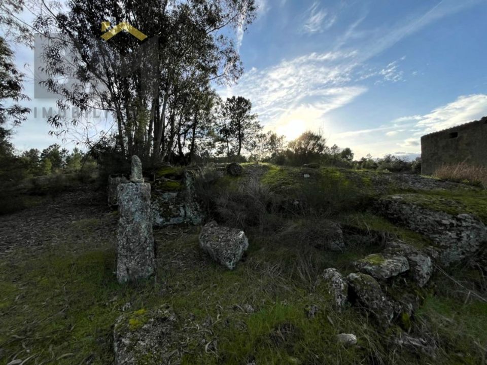 Helårsgrund i Castelo Branco, Castelo Branco - foto 5