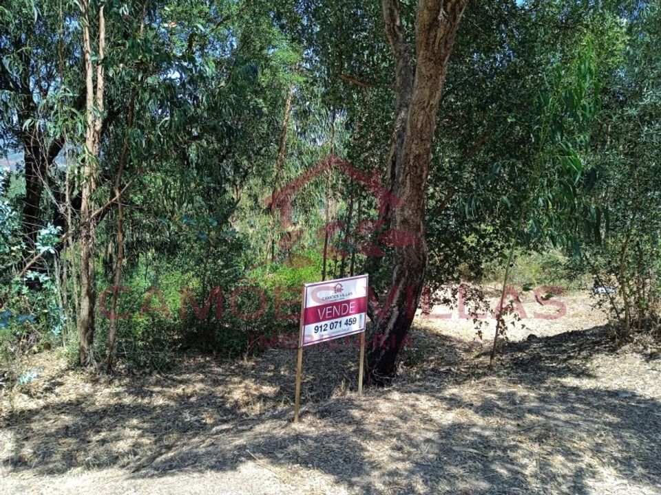 Helårsgrund i Vila Nova da Barquinha, Santarem - foto 1