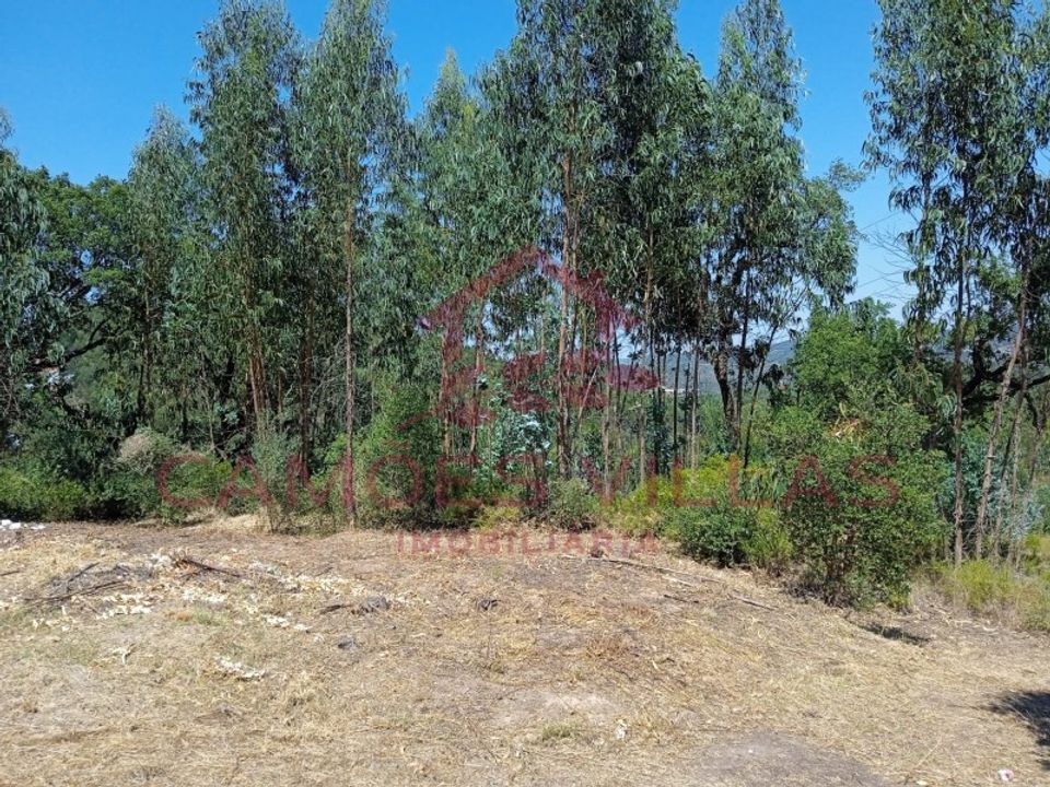 Helårsgrund i Vila Nova da Barquinha, Santarem - foto 2