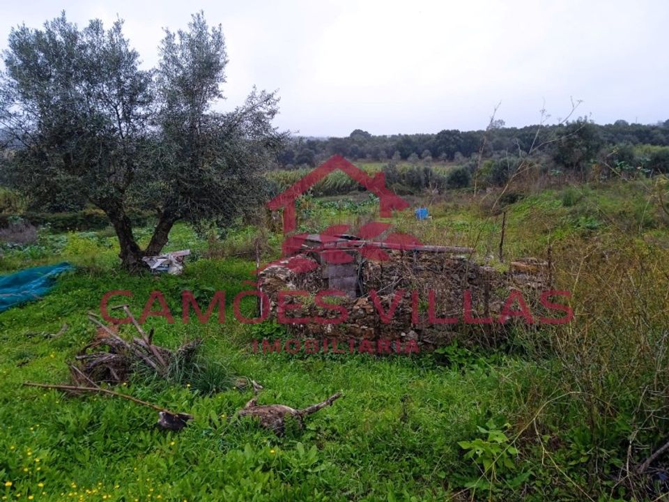 Helårsgrund i Abrantes, Santarem - foto 1