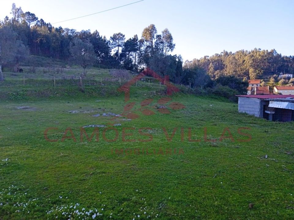 Landejendom i Abrantes, Santarem - foto 3