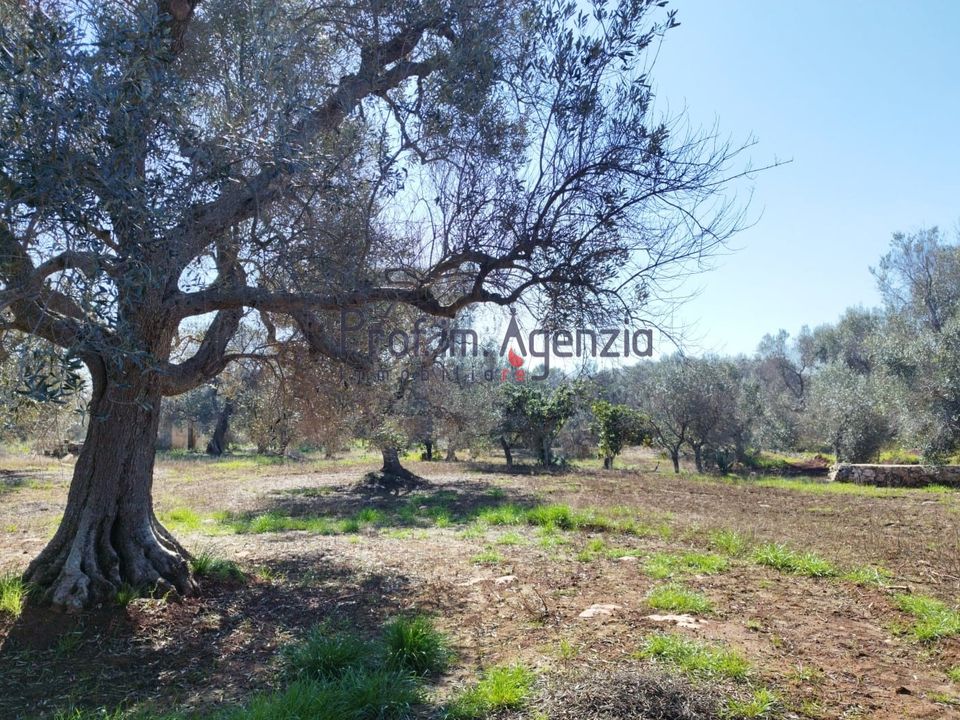 Helårsgrund i San Vito dei Normanni, Brindisi - foto 1