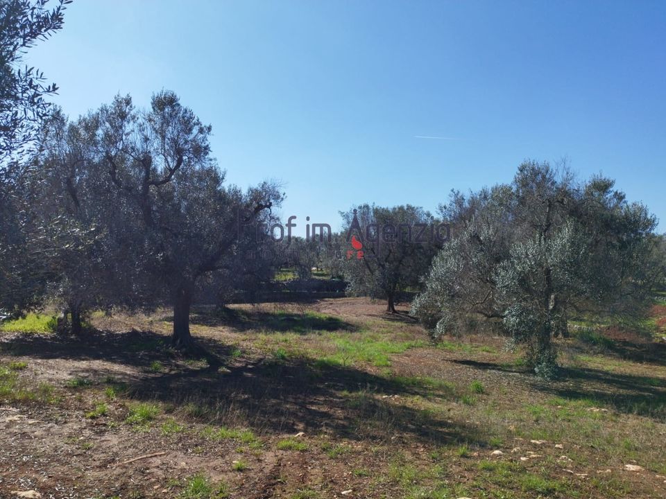 Helårsgrund i San Vito dei Normanni, Brindisi - foto 5