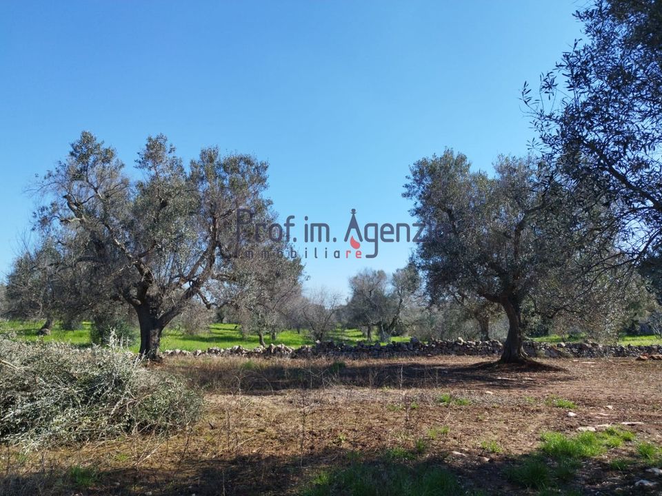 Helårsgrund i San Vito dei Normanni, Brindisi - foto 2