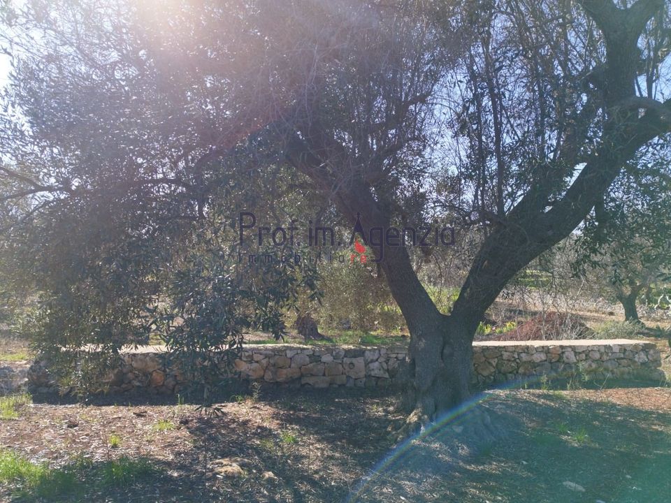 Helårsgrund i San Vito dei Normanni, Brindisi - foto 3