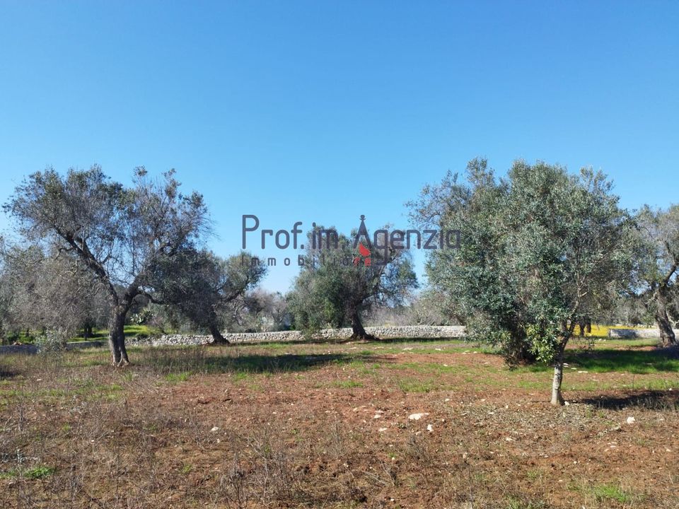 Helårsgrund i San Vito dei Normanni, Brindisi - foto 4
