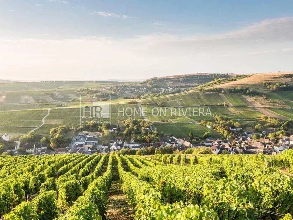 L'establiment comercial a Saint-Satur, Cher - foto 1
