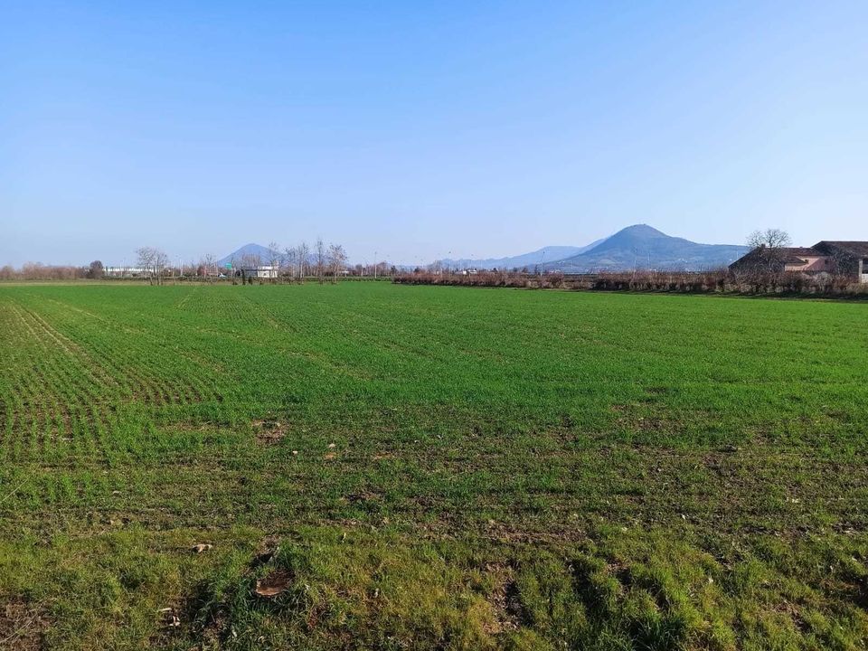 Erhvervsejendom i Noventa Vicentina, Vicenza - foto 1