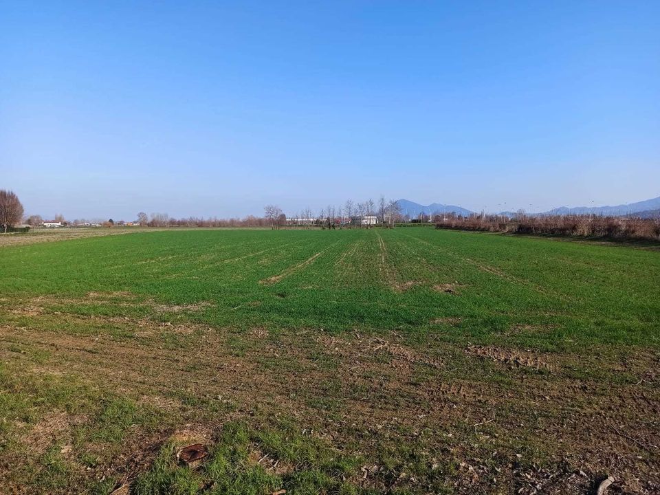 Erhvervsejendom i Noventa Vicentina, Vicenza - foto 2
