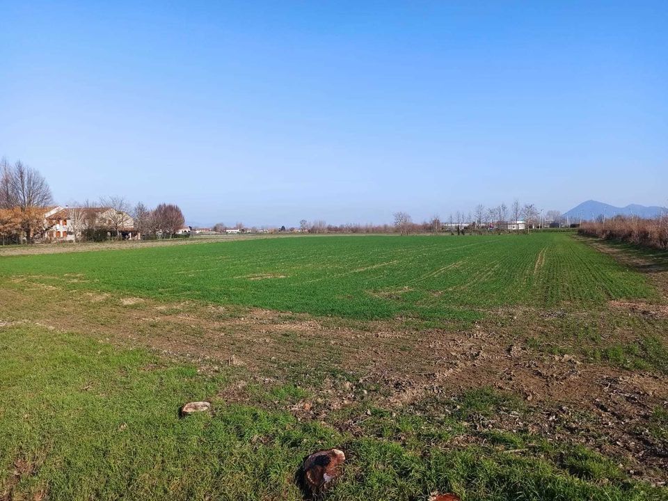 Erhvervsejendom i Noventa Vicentina, Vicenza - foto 3