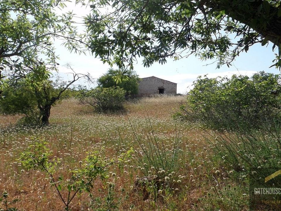Helårsgrund i Albufeira, Faro - foto 2