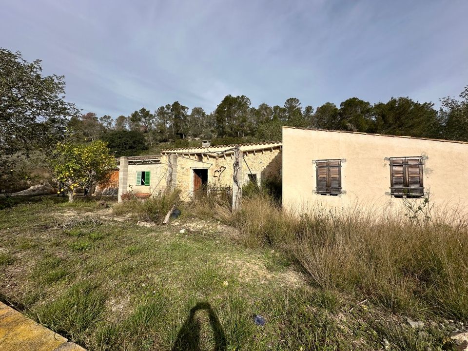 Landejendom i Sineu, Mallorca - foto 3