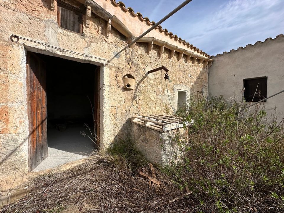 Landejendom i Sineu, Mallorca - foto 4