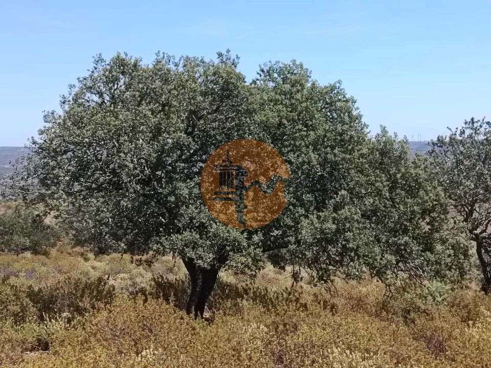 Helårsgrund i Castro Marim, Faro - foto 5