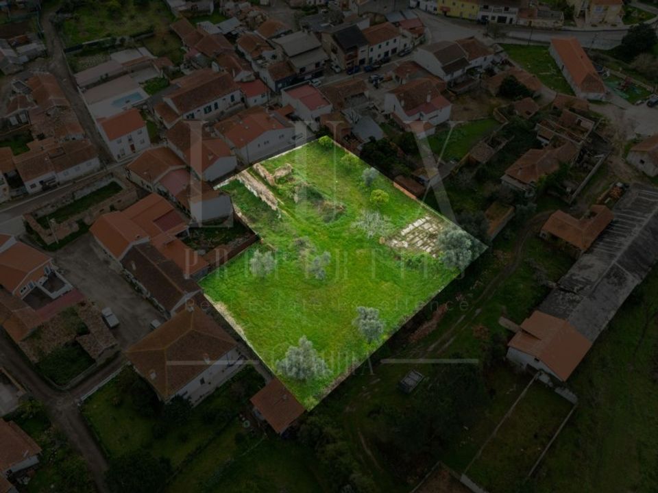 Tomt i Condeixa-a-Nova, Coimbra - bilde 1