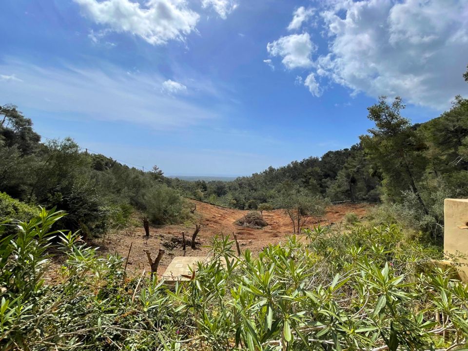 Masia a Es Carritxo, Mallorca - foto 2