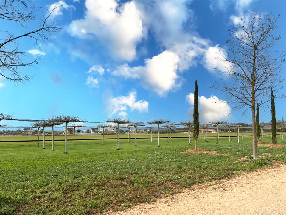 Terra a Campos, Mallorca - foto 1