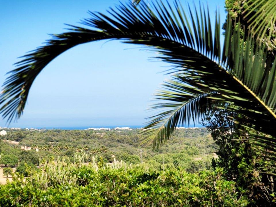 Masia a Cas Concos Des Cavaller, Mallorca - foto 2