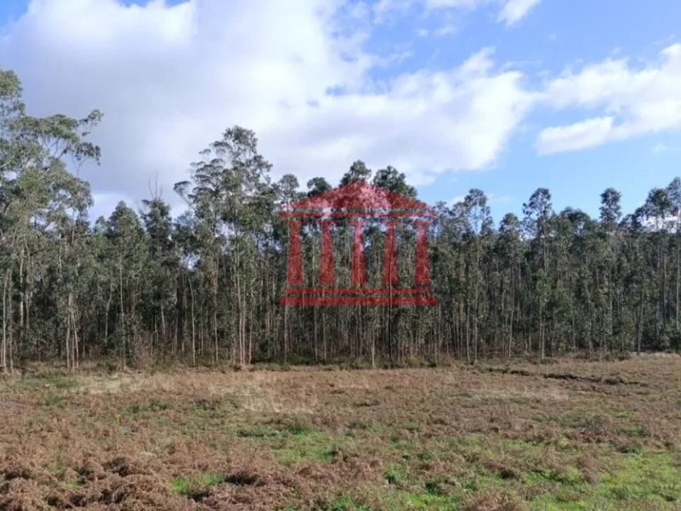 Helårsgrund i Barcelos, Braga - foto 3