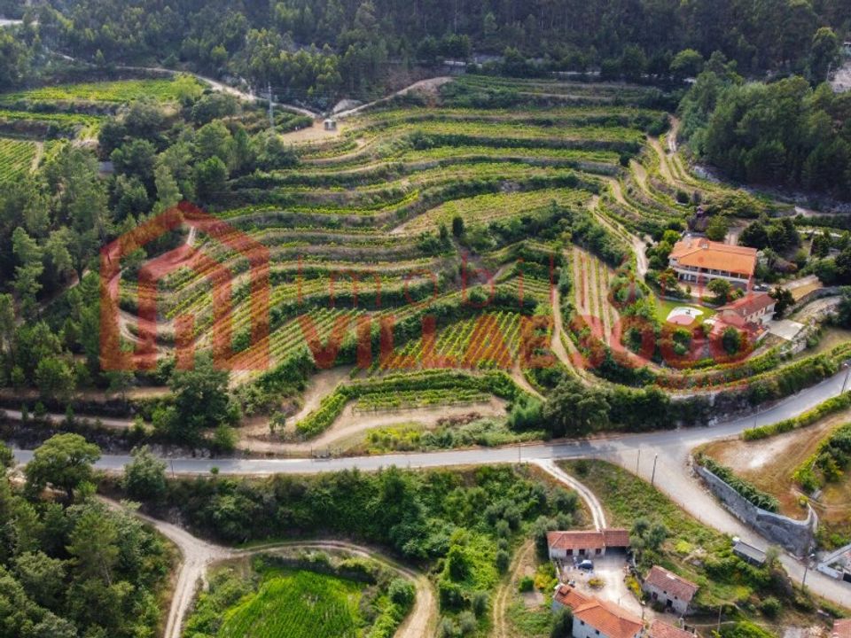 Farm i Amarante, Porto - foto 3