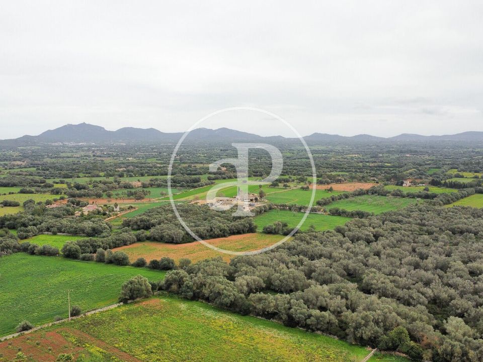 Terra a Felanitx, Mallorca - foto 3