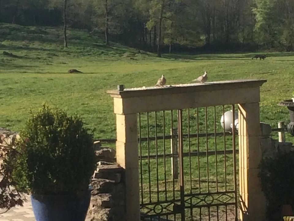 Villa i Morestel, Isere - foto 4