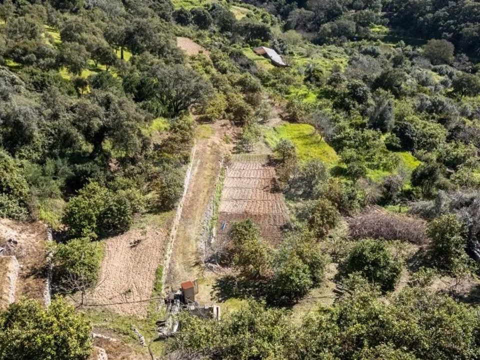 Villa i Monchique, Faro - foto 2