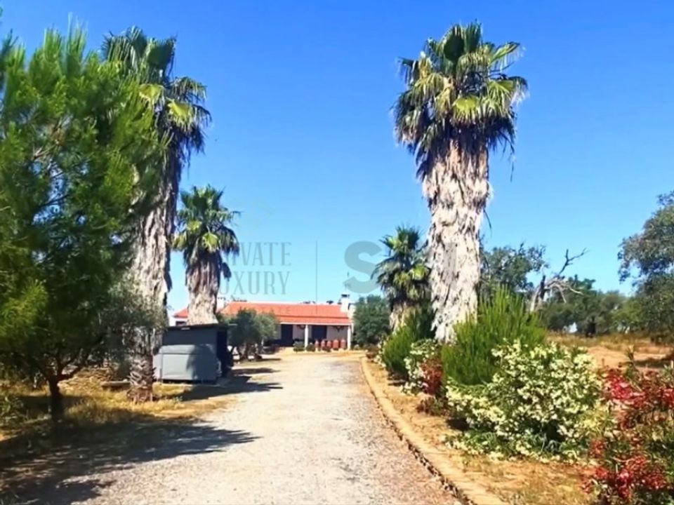 Farm i Vila Nova de Sao Bento e Vale de Vargo, Beja - foto 5